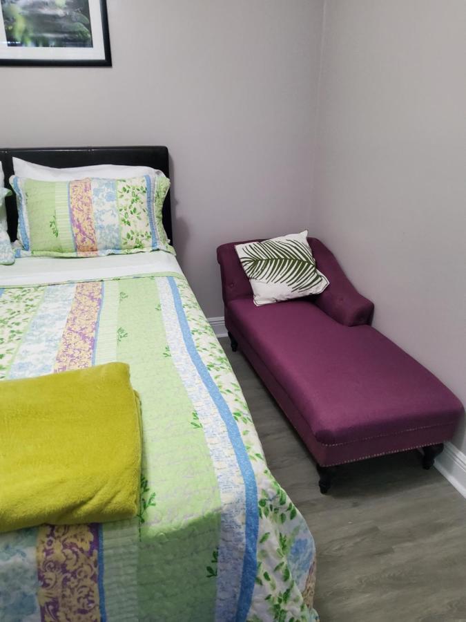 Beautiful Apartment Close To Everything Tampa Ngoại thất bức ảnh