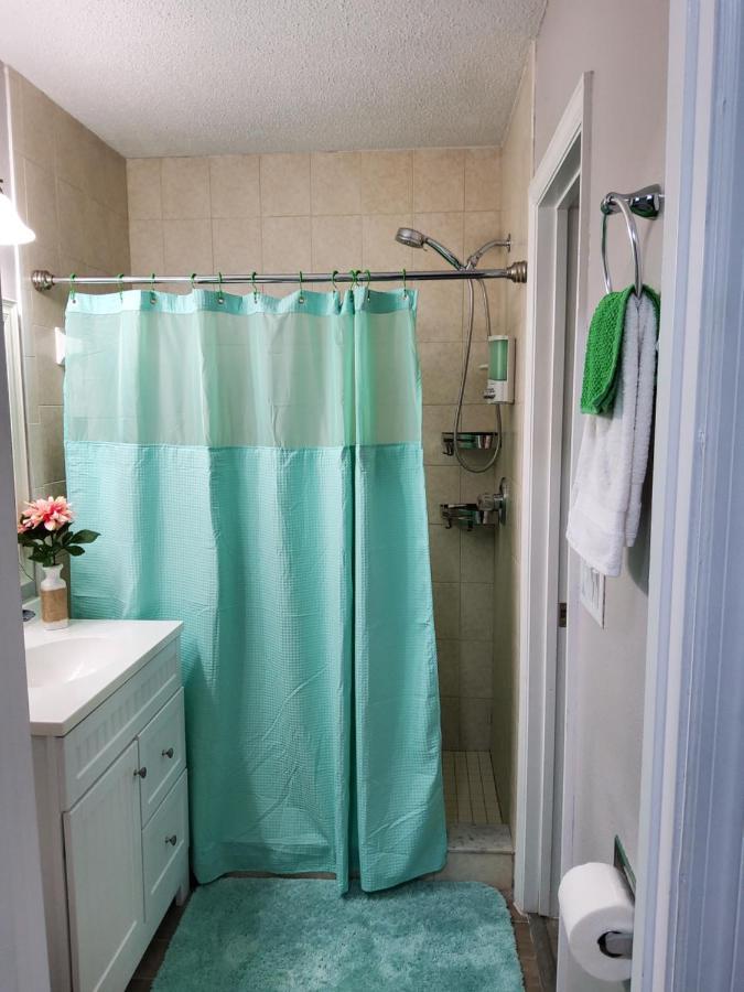 Beautiful Apartment Close To Everything Tampa Ngoại thất bức ảnh