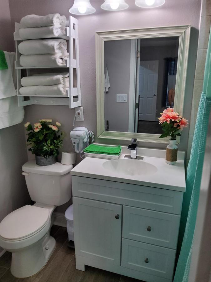 Beautiful Apartment Close To Everything Tampa Ngoại thất bức ảnh