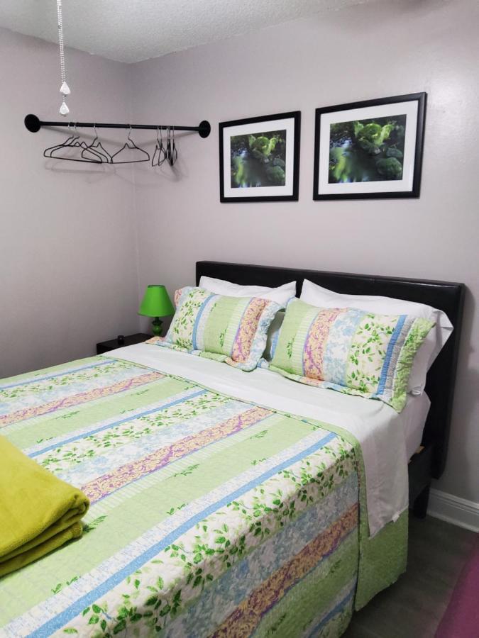 Beautiful Apartment Close To Everything Tampa Ngoại thất bức ảnh